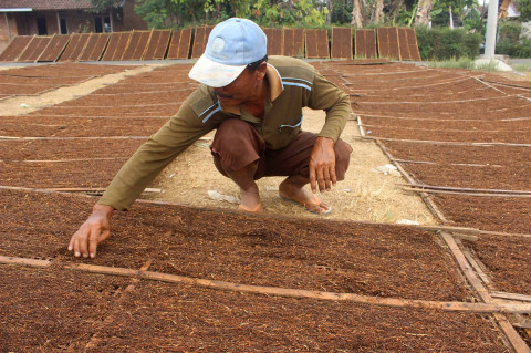 Kenaikan Tarif Cukai, Harga Rokok Golongan 1 Naik Tajam