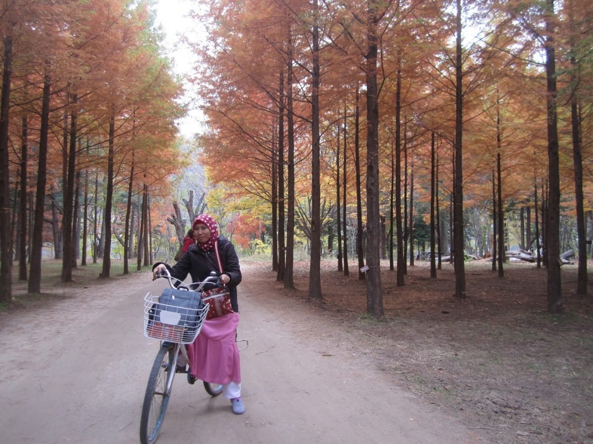 Nami Island, Destinasi Wisata Impian di Korea Selatan yang Wajib Dikunjungi