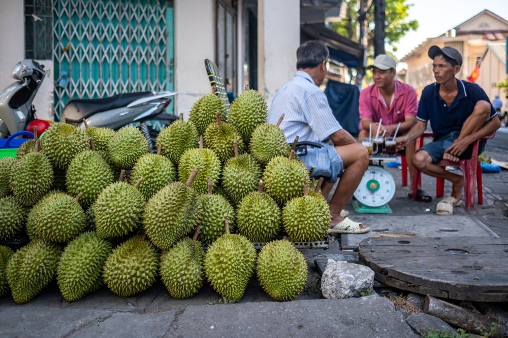 Vietnam Salip RI Jadi Raja Durian Dunia dengan Nilai Ekspor Rp 53,67 Triliun: Apa yang Bisa Dipelajari Indonesia?