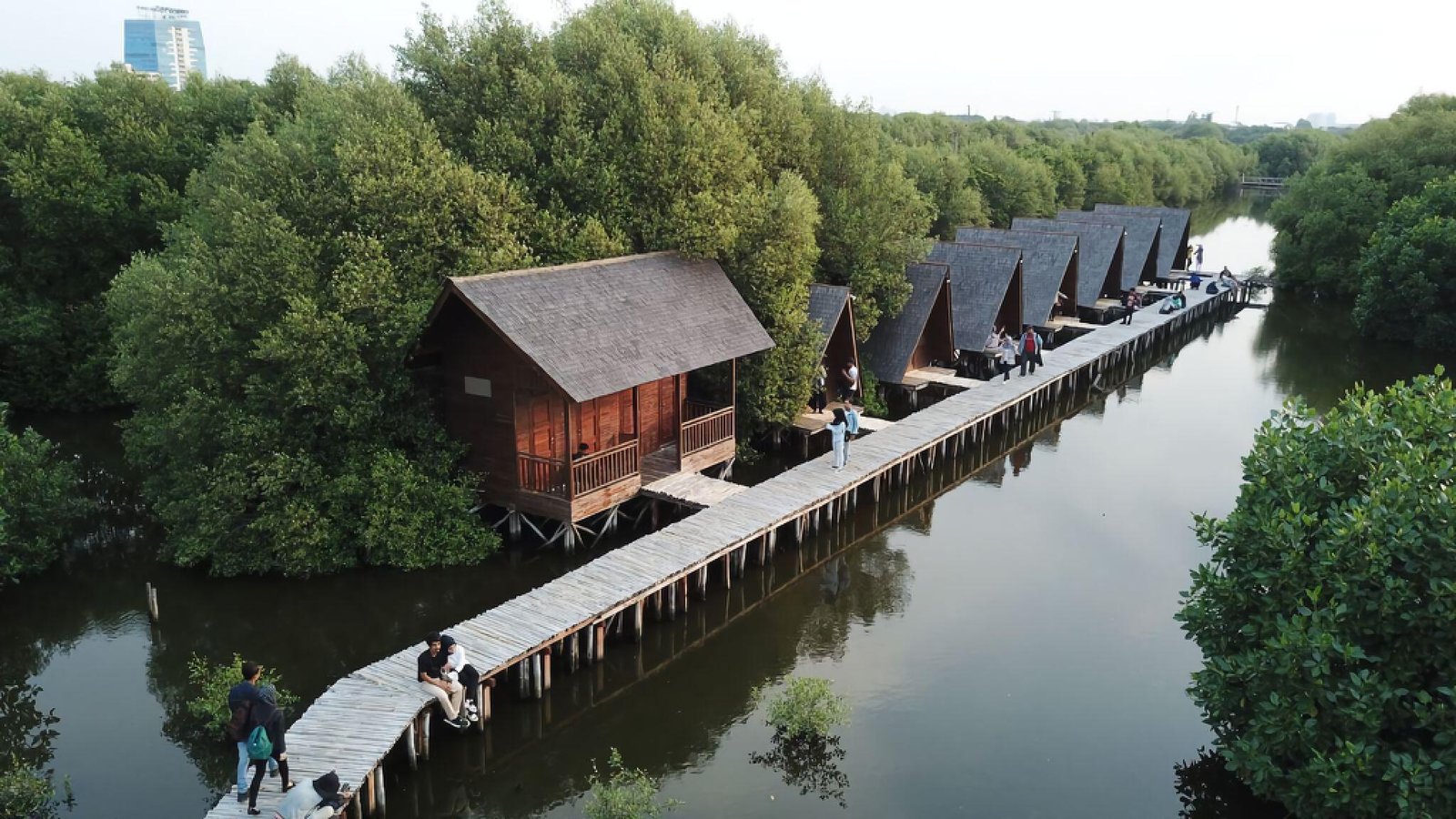 Keindahan dan Manfaat Hutan Mangrove PIK: Oase Hijau di Tengah Kota