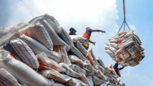Ledakan Produksi Beras Global: India dan Indonesia Jadi Motor Utama Dunia