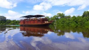 Pulau Kaja Palangkaraya: Surga Orangutan yang Menyatu dengan Alam