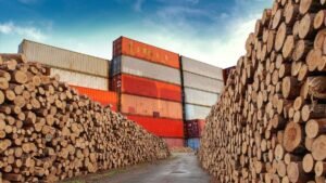 8 Kayu Termahal RI yang Jadi Rebutan Dunia: Harganya Setara 60 Gram Emas!