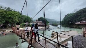 Pesona Bukit Lawang Binjai: Surga Alam dan Rumah Orangutan Sumatra