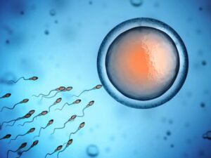 Pembekuan Sel Telur: Pilihan Reproduksi Modern yang Semakin Populer di Kalangan Wanita