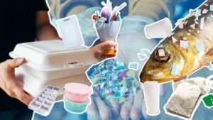 Tak Disadari, Kita ‘Juara’: 5 Sumber Mikroplastik yang Paling Sering Dikonsumsi Warga RI