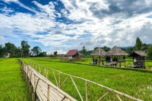 Tondok Bakaru Mamasa: Negeri di Atas Awan yang Wajib Kamu Kunjungi!