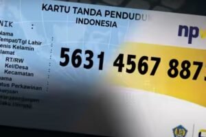 Ingin NPWP Non-aktif? Ini 11 Kelompok Wajib Pajak yang Bisa Mengajukannya Resmi!