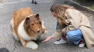 Hidup Seperti Anjing: Kisah Nyata Pria Jepang yang Mengubah Identitasnya dan Nasibnya Kini