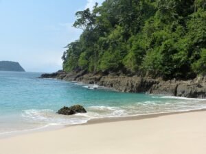 Menyibak Surga Tersembunyi di Timur Jawa: Keindahan Taman Nasional Meru Betiri