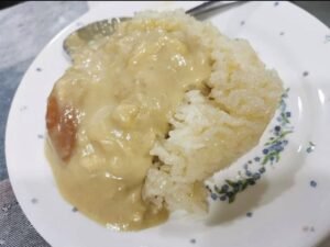 Nasi Tue Sibolga: Kuliner Legendaris yang Wajib Dicoba Saat ke Sumatera Utara!