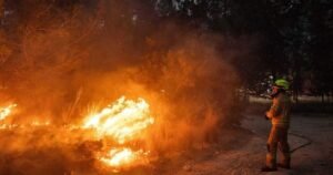 Kebohongan Netanyahu Terungkap: Media Bongkar Fakta di Balik Kebakaran Hutan Israel