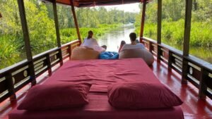 Surga Tersembunyi di Pulau Borneo: Menjelajahi Taman Nasional Guia