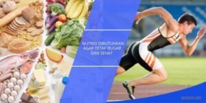 Bahan Bakar Performa: Panduan Lengkap Nutrisi untuk Atlet