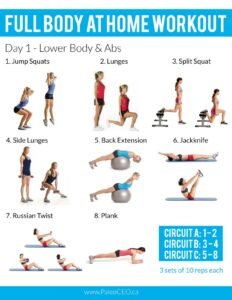 Full Body Workout: Panduan Lengkap untuk Membangun Kekuatan dan Membentuk Tubuh Ideal
