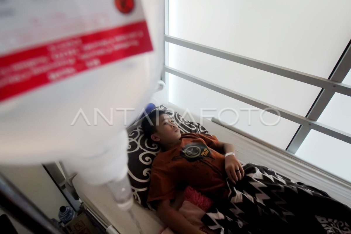 Kasus Demam Berdarah Dengue (DBD) Meningkat: Ancaman Serius dan Upaya Penanggulangan yang Mendesak