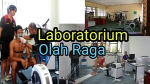 Kuasai Lapangan dan Layar: Panduan Lengkap Membangun Channel YouTube Olahraga yang Sukses