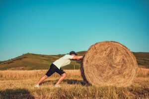 Latihan Fungsional: Tingkatkan Kualitas Hidup dengan Gerakan Alami