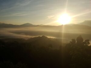 Membangun Fondasi Hari yang Produktif dan Sehat: Panduan Lengkap Rutinitas Pagi yang Optimal