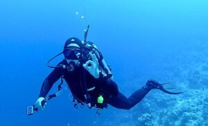 Menjelajahi Keajaiban Bawah Laut: Panduan Lengkap Selam Scuba untuk Pemula dan Penyelam Berpengalaman