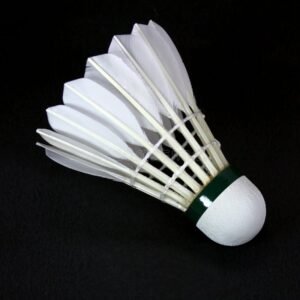 Panduan Lengkap Memilih Shuttlecock Berkualitas: Tingkatkan Performa dan Nikmati Permainan Badminton Anda!