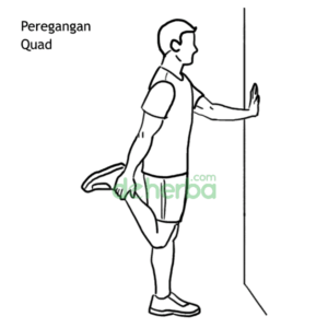 Peregangan Otot: Panduan Lengkap untuk Meningkatkan Fleksibilitas, Mencegah Cedera, dan Meningkatkan Performa