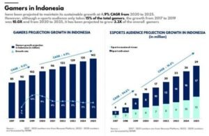 Perkembangan Industri Game di Indonesia: Potensi Besar yang Belum Sepenuhnya Tergarap