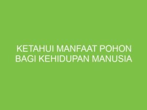Pohon: Penjaga Kehidupan dan Pilar Kesejahteraan Manusia