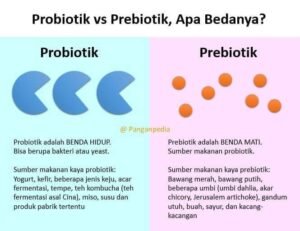 Probiotik dan Prebiotik: Memahami Perbedaan dan Manfaatnya untuk Kesehatan Usus