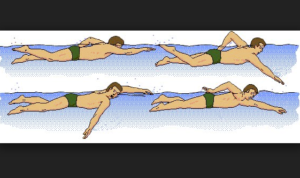 Renang Gaya Bebas: Panduan Lengkap untuk Teknik, Manfaat, dan Peningkatan Performa