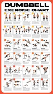 Rutinitas Gym Harian Terbaik: Panduan Lengkap untuk Pemula dan Tingkat Lanjut