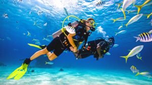 Scuba Diving: Petualangan Bawah Laut yang Menakjubkan dan Panduan Lengkap untuk Pemula