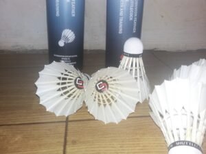 Shuttlecock Berkualitas: Investasi Terbaik untuk Pengalaman Bulu Tangkis Maksimal