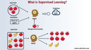 Supervised Learning: Panduan Komprehensif untuk Algoritma, Aplikasi, dan Implementasi