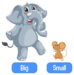 Small Language Models (SLM): Kekuatan Tersembunyi di Balik Kecerdasan Buatan yang Efisien