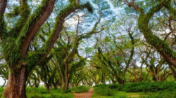 Menjelajahi Empat Pesona Alam Banyuwangi Terbaik