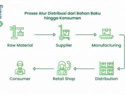 Bisnis Distribusi: Jantung yang Memompa Produk ke Pasar
